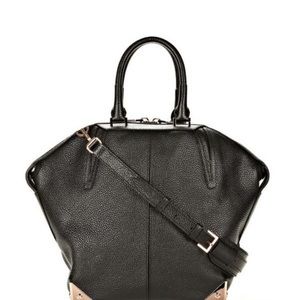 Alexander wang large Emile bag